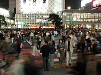 Russian interpreters often work at exhibition stands or assist professional visitors at trade fairs