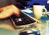 Professionelle Übersetzungen